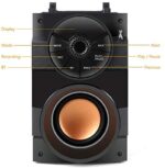 Outside/Indoor Celebration Audio system