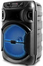 Technical Professional 8 Inch Transportable 500 watts Bluetooth Speaker