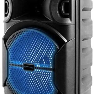 Technical Professional 8 Inch Transportable 500 watts Bluetooth Speaker